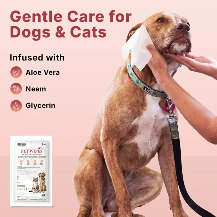 pet wipes lifestyle