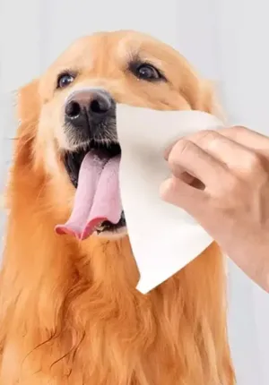 Opti Pet Wipe ideaal 1